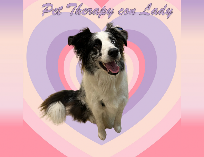 Pet Therapy con Lady in Pediatria 🐶!